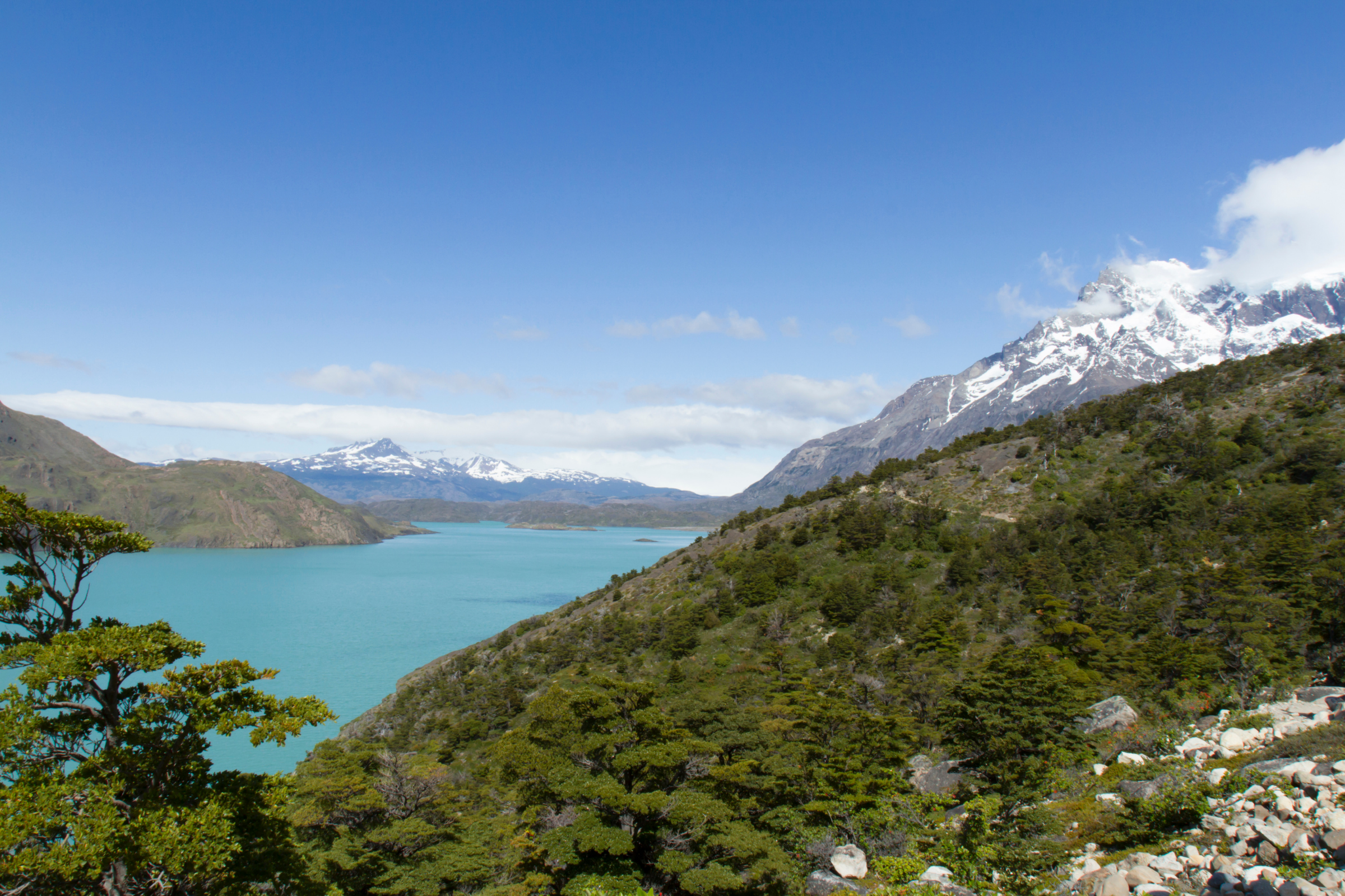 cuernos camp (refugio los cuernos) (2).webp
